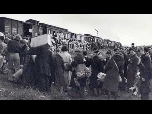 Harta expulzărilor staliniste din Basarabia realizată cu sprijinul AI: „Străbunicii și apropiații s-au regăsit pe platformă”