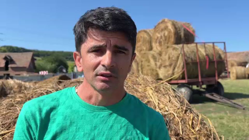 Sute de șerpi toxici au pătruns într-un râu crescut din cauza inundațiilor după ce au „fugit” de la o fermă din China.